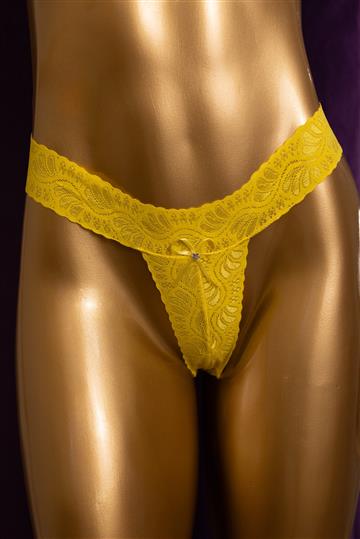 TANGA LEONA